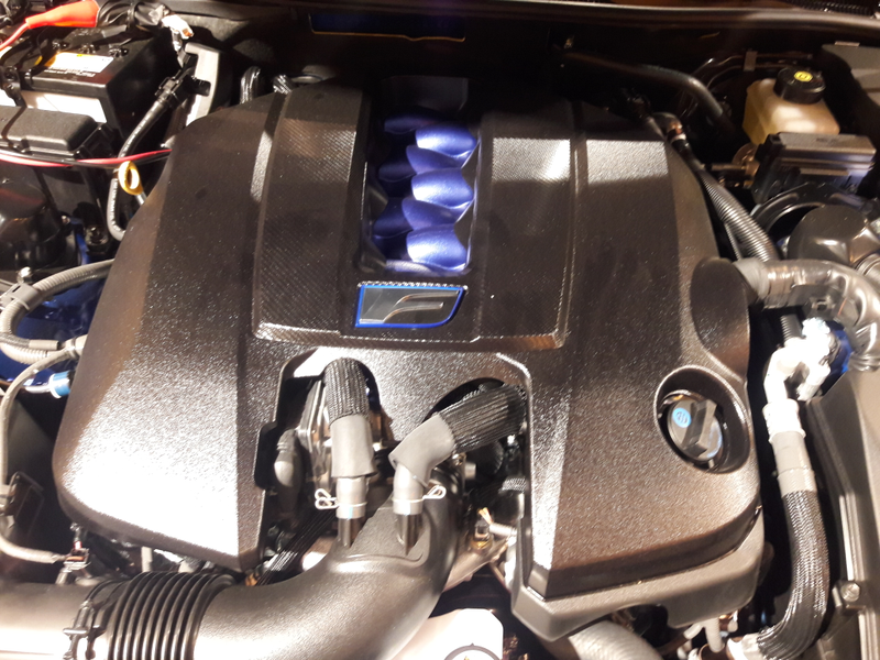 Painted intake runners, I like.